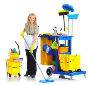 Cleaners Kelsall: Domestic cleaning