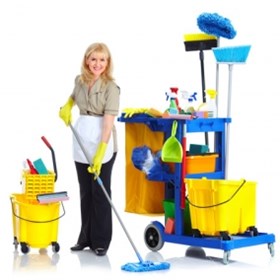 Cleaners Kelsall: Domestic cleaning